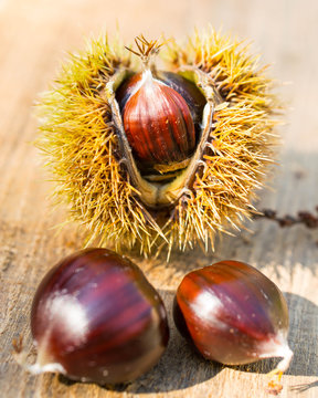 chestnuts on table
