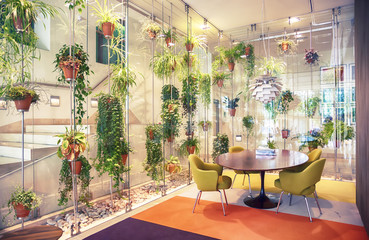 hall of modern house