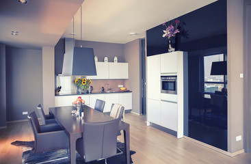 modern  kitchen in living room