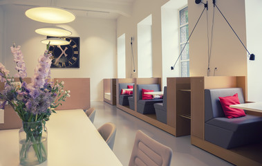 meeting aria in new designed office