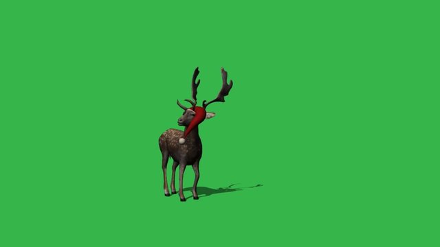 Christmas rendeer animation - green screen