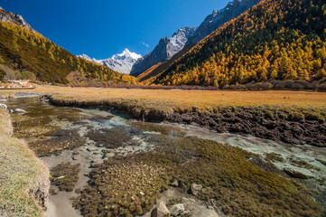 Fototapeta premium Colorful autumn