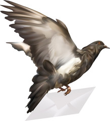 black dove with mail illustration