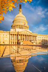 Fototapeta premium US Capitol