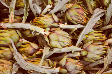 Retro look Artichoke vegetables