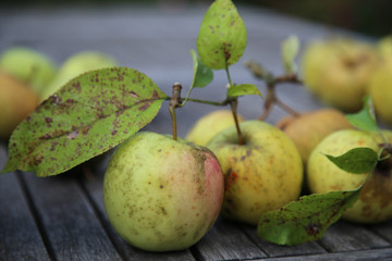 apfel