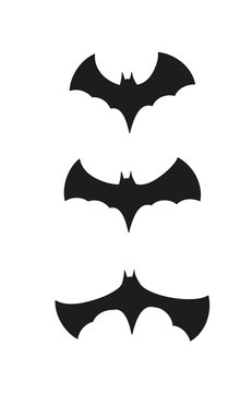 black bats