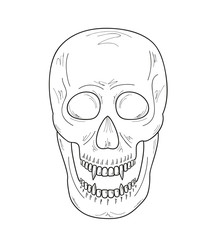 skull with vampire teeth, sketch