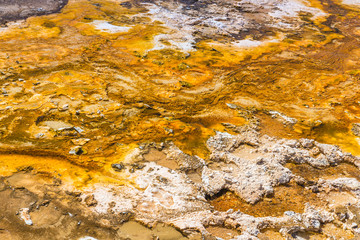 Yellowstone National Park