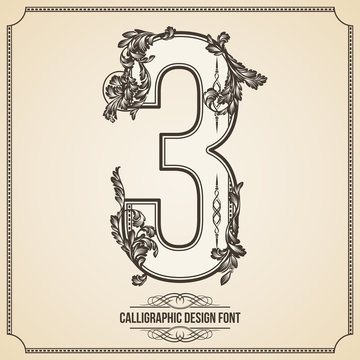 Calligraphic Font. Number 3. Vector Design Background