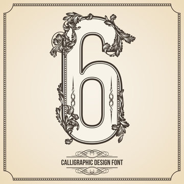 Calligraphic Font. Number 6. Vector Design Background