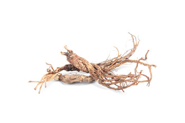 Dried ginseng on white background.