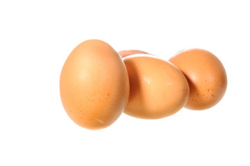 Chicken egg isolated