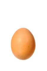 Chicken egg isolated
