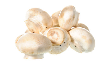 White mushroom