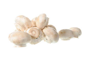 White mushroom