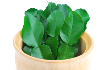 Kaffir Lime with leaves