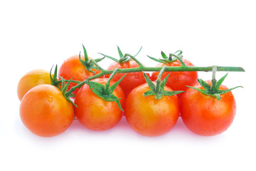Closeup of cherry tomatoes on the vine