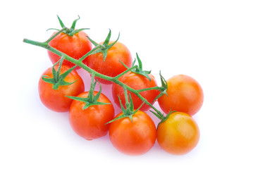Closeup of cherry tomatoes on the vine