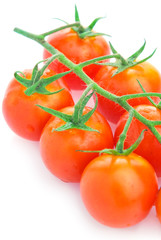 Closeup of cherry tomatoes on the vine