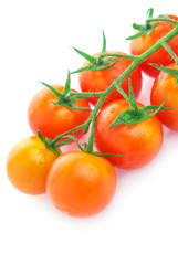 Closeup of cherry tomatoes on the vine