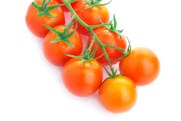 Closeup of cherry tomatoes on the vine