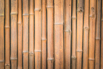 bamboo background