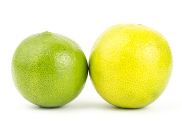 Lime