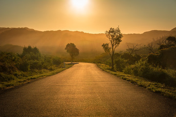Sunset