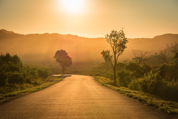 Sunset