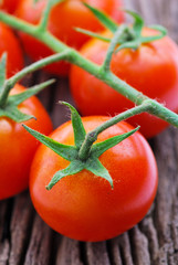 Closeup of cherry tomatoes on the vine