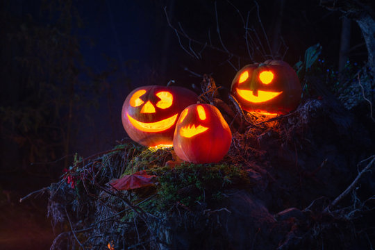 Halloween pumpkins in forest