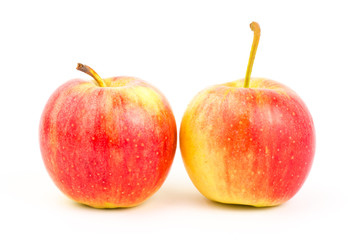 Fresh apple fruit