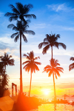 Beautiful sunset on a tropical beach.
