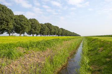 Ditch through the countryside in autumn