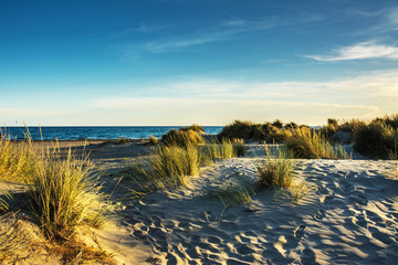 plage et dunes