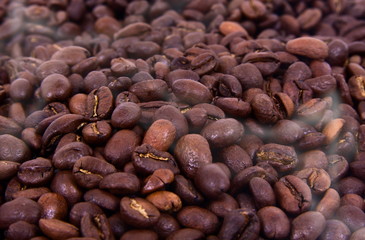 coffee beans