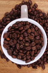 coffee beans