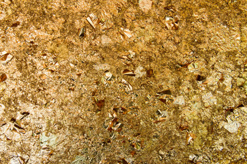 Surface of the gold leaf