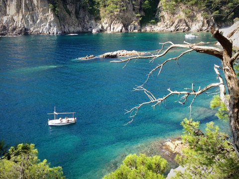 Cala Pedrosa