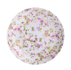 plate, plate on a background