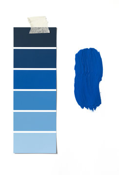 Paint Swatch