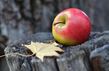 Яблоко на пне.