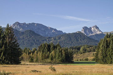 Allg&auml;uer Voralpenlandschaft