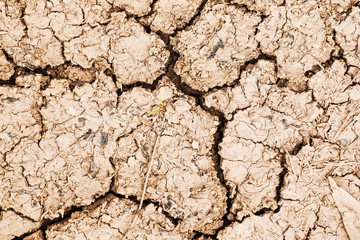 Closeup of dry soil