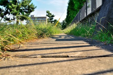 側溝