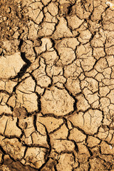 Closeup of dry soil