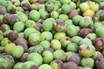 green plum