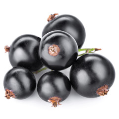 black currant berries