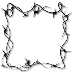 barbed wire